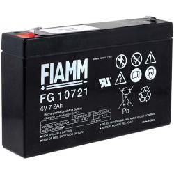 FIAMM olověná baterie FG10721 originál